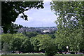 The view from Hilly Fields