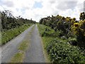 B9431 : Road at Ballintemple by Kenneth  Allen