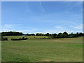 Playing Fields, St Bede