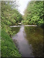 River Crane near Baber Bridge