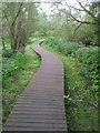 Boardwalk carrying the London LOOP through Donkey Woods