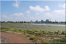 SZ6199 : Haslar Lake at low tide (4) by Barry Shimmon