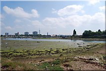 SZ6199 : Haslar Lake at low tide (5) by Barry Shimmon