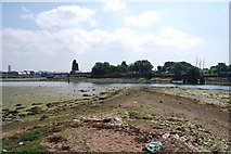 SZ6199 : Haslar Lake at low tide (6) by Barry Shimmon