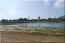 SZ6199 : Haslar Lake at low tide (8) by Barry Shimmon