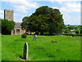 The Church of St John the Baptist, South Brewham