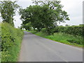 Nortons Lane near Dunham Heath