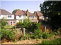 Streatham: backs of houses on Stanthorpe Road, from the train