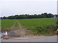 Footpath to Newbourne Road