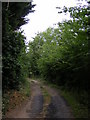TM2443 : Footpath to the A12 near Brook Cottage Postbox by Geographer