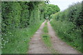 SP4305 : Track and bridleway near Stanton Harcourt by Philip Halling