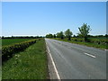 A169 towards Malton