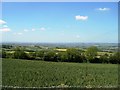 Field near Oxcroft Farm