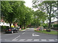 Stanhope Drive - viewed from Sunnybank Avenue