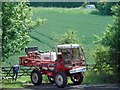 The cereal crop has been sprayed