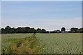 Footpath near Heybridge