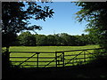 Fields near Capel Llanilltern