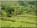 Dunge Valley, green