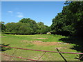 Field in Beddau