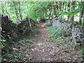 Footpath near Town End