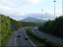 O2519 : M11 near Bray from the bridge by Ian Paterson