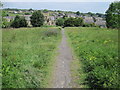 Footpath to Denby Dale