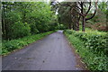 The old road near Portinscale