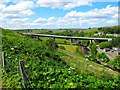 Dunbeath Bridge