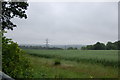 Land near Spital Wood