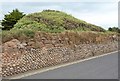 Wall, Budleigh Salterton