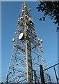 BT mast at Hertford Heath