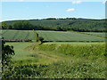 Fields north of Dunston Road