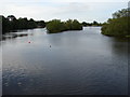 N9934 : Reservoir on the River Liffey from the New Bridge by Ian Paterson