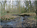 TL7907 : Stream at Woodhall by Roger Jones