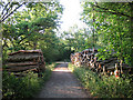 Log piles on Elbow Lane