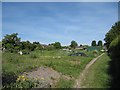 Quiet in the allotments