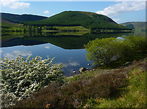 NT2523 : St Mary's Loch by Eileen Henderson