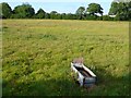 Pasture field, Kings Stag