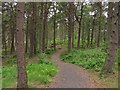 NS9587 : Picnic table, Devilla Forest by Richard Webb