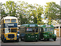 Three old buses