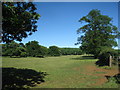 Parkland near Fulbeck Hall