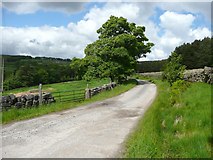 SD9731 : Cow Hey Lane, Wadsworth by Humphrey Bolton