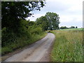 TM2765 : Saxtead Bottoms looking towards the A1120 Button's Hill by Geographer