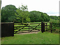 Dunsfold footpath 383 leaves Hookhouse Road