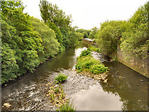 SD7910 : River Irwell from Bury Bridge by David Dixon