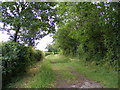 TM2365 : Bullswood Lane Byway  to the Hollow Lane Byway by Geographer