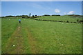 The Allerdale Ramble near Cockermouth