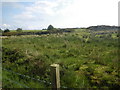 Fields southeast of Crossley