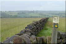 SK3268 : Walled fields above Loads Road by Andrew Hill