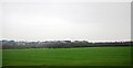 NU2205 : Farmland, Warkworth Moor by N Chadwick